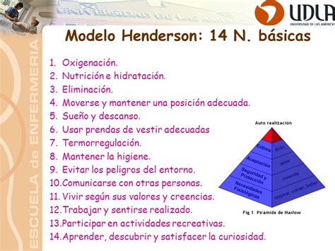 Total Imagen Modelo De Virginia Henderson Necesidades Pdf