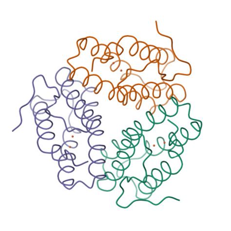 Rcsb Pdb Hr Structure Of Trimeric Haemerythrin