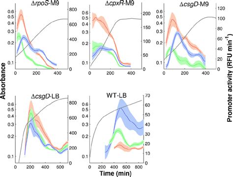 Promoter Activities Of Genes In The Flia Flgm Module The Promoter