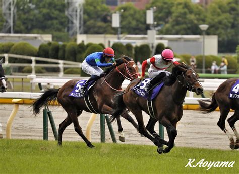 Nhkマイルcと新潟大賞典 競馬情報ハミ受け良好