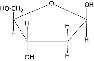 Draw the monosaccharide present in DNA. Draw the sugar in its ...