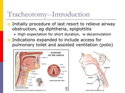 Ppt Pediatric Tracheostomy Powerpoint Presentation Free Download