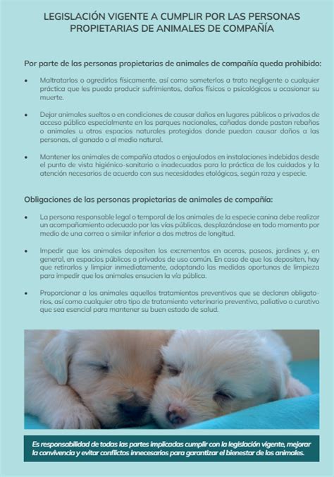 Normas para mejorar la convivencia con los animales Bandú Cheste