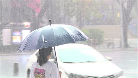 今中南部陣雨、北部午後雷雨！週三起西半部「雨區擴大」