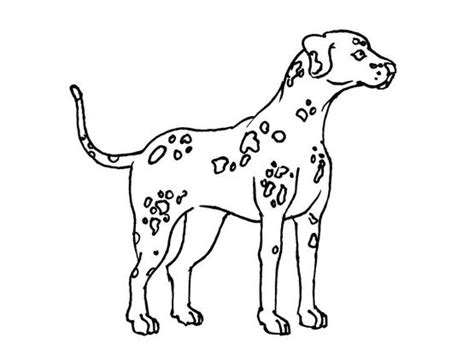 Coloriage Chien Coloriage Chiens Coloriages Animaux