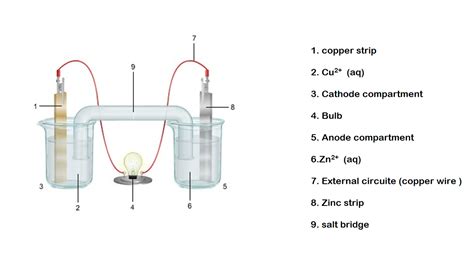 Solved 1 The Diagram Shows An Electrochemical Cell With Copper