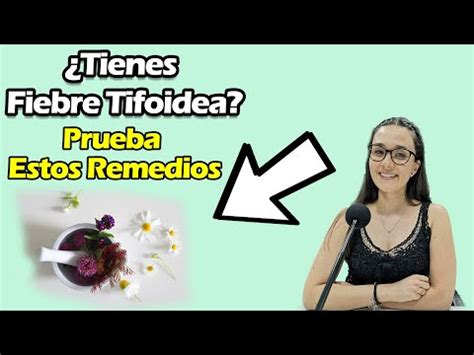 5 Remedios Caseros Que Puedes Tomar Para La Tifoidea Y Salmonela