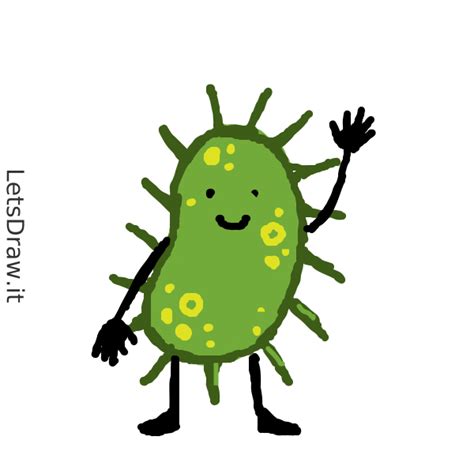 How To Draw Bacteria R Wiour Png Letsdrawit