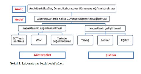 Antitüberküloz İlaç Direnci Laboratuvar Sürveyans Ağı TULSA