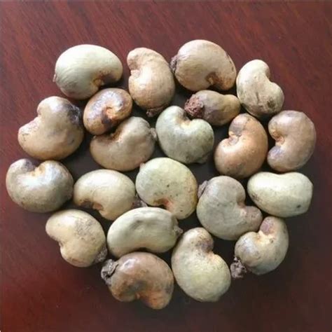 Whole Raw Cashew Nuts Loose At Rs 550 Kg In Panruti ID 20120240791