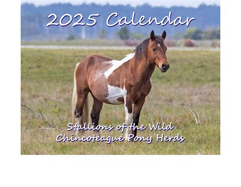 2025 Calendar - Stallions of the Wild Chincoteague Pony Herds | DSC Photography