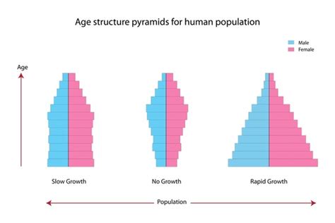 demographic details royalty  images stock  pictures
