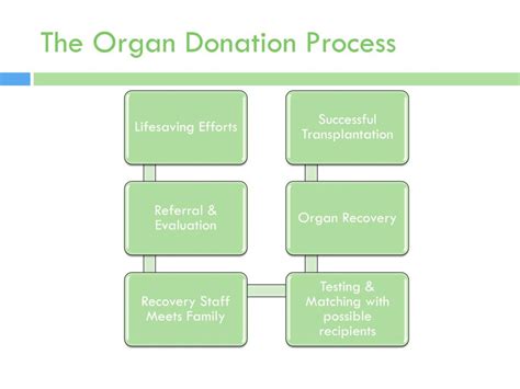 Ppt Organ And Tissue Donation Powerpoint Presentation Free Download