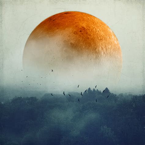 oRange mOOn :: Behance