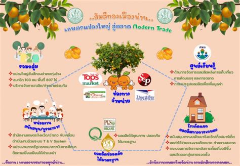 ระบบส่งเสริมการเกษตร ส้มสีทองเมืองน่าน เกษตรแปลงใหญ่ สู่ตลาด Modern Trade