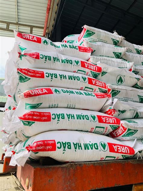 ban phan bon ure xuat xu viet nam kgbao