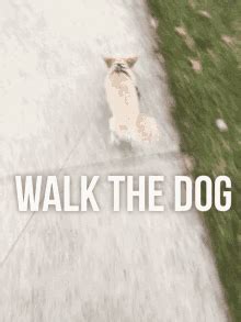 Dog Walking Dog Walker GIF - Dog Walking Dog Walker Huskies - Discover ...