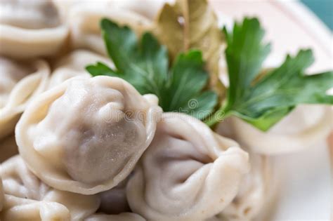 Pelmeni Ruso De Las Bolas De Masa Hervida Hechas En Casa De La Carne