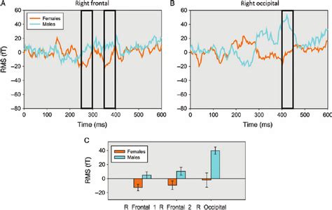 Sex Effects In Later Meg Response To Biological Motion The Rms Download Scientific Diagram