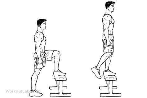 Dumbbell Step Up Illustrated Exercise Guide Workoutlabs