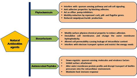 Frontiers Natural Anti Biofilm Agents Strategies To Control Biofilm