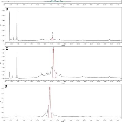 Representative Hplc Chromatograms Of A Compound Standard B U60e