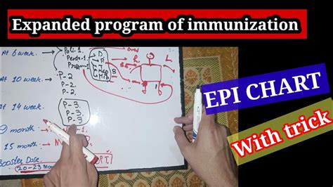 EPI CHART Epi Monitoring Chart Expanded Program Of Immunization