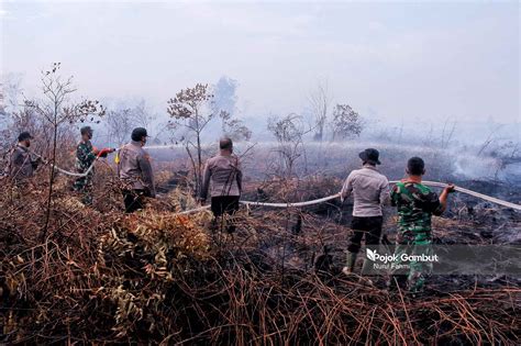 Kebakaran Lima Hektare Lahan Gambut Di Aceh Barat Pojok Gambut