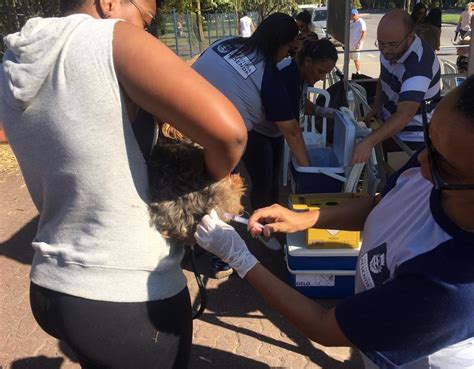 Amic O Consciente Evento Teve Ado O Respons Vel De C Es E Servi Os