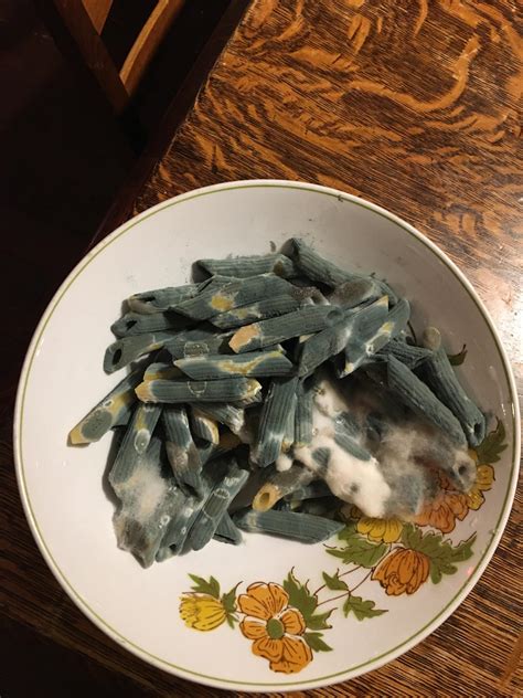 This Moldy Pasta Rmildlyinteresting