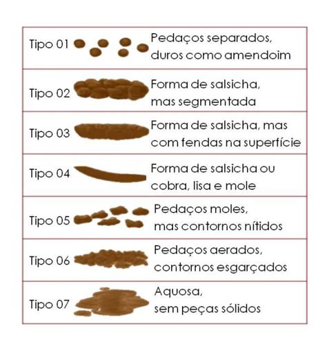 O Que Os Formatos Das Fezes Revelam Sobre A Nossa Sa De