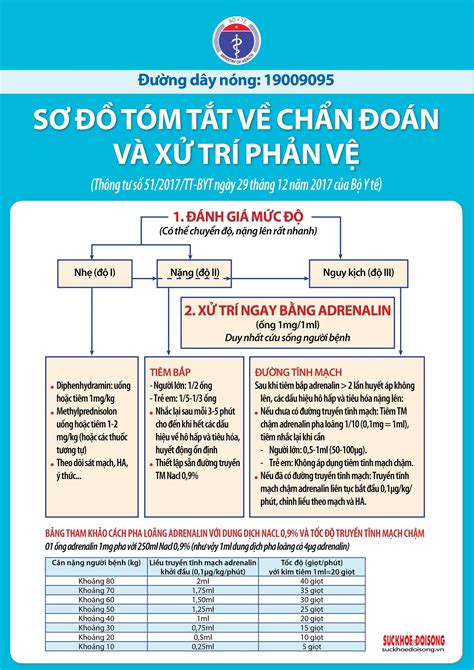 Hướng Dẫn Xử Trí Sốc Phản Vệ Đúng Cách Và Hiệu Quả Nhất