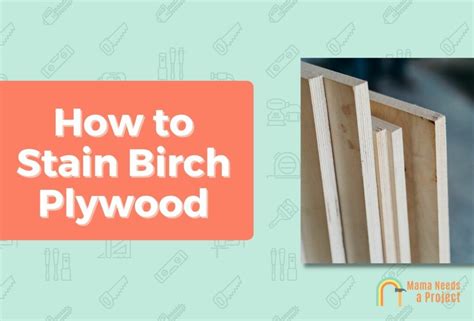 Staining Birch Plywood Step By Step Guide