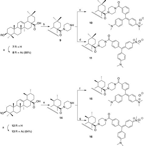 Synthesis Of Compounds 7 16 Reactions And Conditions A Ac2o Net3 Download Scientific