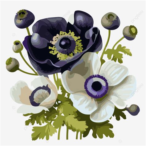 Anemone Clipart Anemone Flowers Vector Cartoon Anemone Clipart