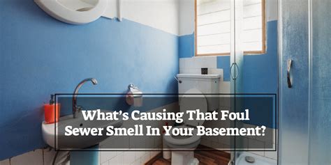 Sewer Gas Smell In Bathroom Sink Canvas Insight