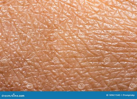 Close Up Macro Photo Of Human Skin Texture Stock Image Image Of Hand