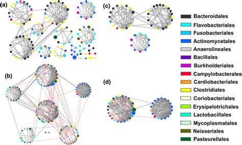 Network Inferences Of The Complex Microbial Relationships In Caries And