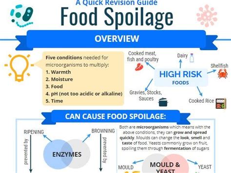 Food Spoilage Revision Infographic Teaching Resources