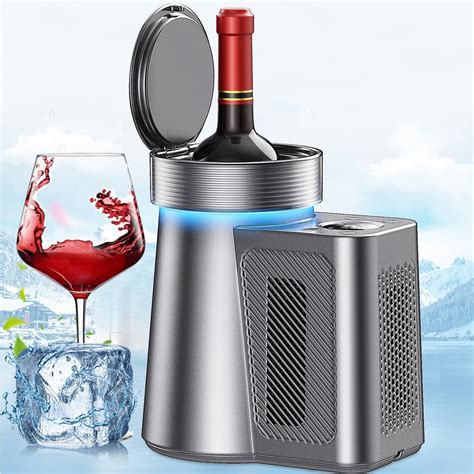 Electric Wine Cooler Wine Chiller For 750ml Wine And Champagne Bottles Single