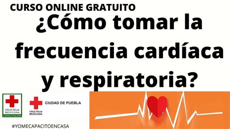 ¿cómo Tomar La Frecuencia Cardíaca Y Respiratoria Webinar Youtube