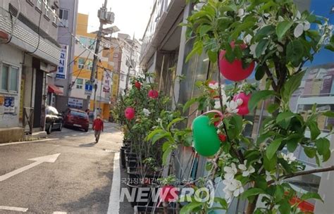 광주 동구 지산1동 ‘이심전심 사과데이 개최 뉴스로