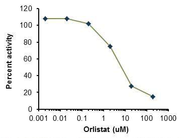 Lipoprotein Lipase Assay Kit Fluorometric Ab204721 Abcam