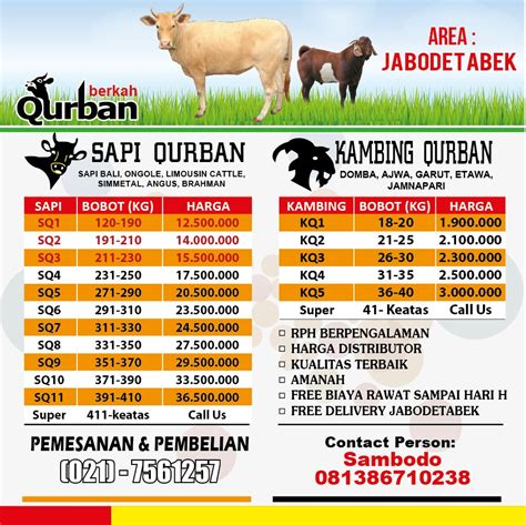 Jual Hewan Qurban Suplier Sapi Kandang Sapi Qurban