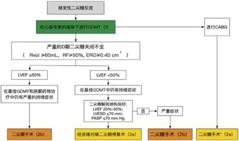 学术分享丨杨杰孚教授2022年AHA ACC HFSA心力衰竭管理指南非药物治疗部分 医谱