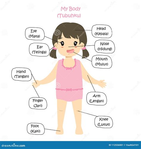 My Body Parts Bilingual, Girl Cartoon Vector Stock Vector - Illustration of human, concept ...