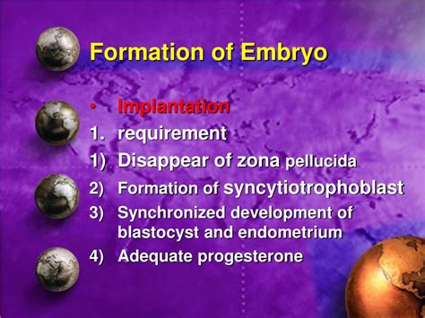 Ppt Physiology Of Pregnancy Powerpoint Presentation Free Download