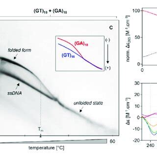 Electrophoretic Analysis Of GT 18 And GA 18 In MBR In The Presence