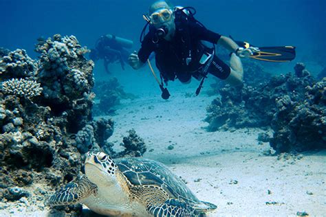 PADI Adventure Diver In Marsa Alam Advenius