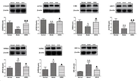 Figure 9 From Integrated Metabolomics And Network Pharmacology Approach